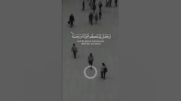 آيات بينات من الذكر الحكيم بصوت رائع وجميل ❤ #القرآن_الكريم #اكسبلور #المصحف #راحة_نفسية