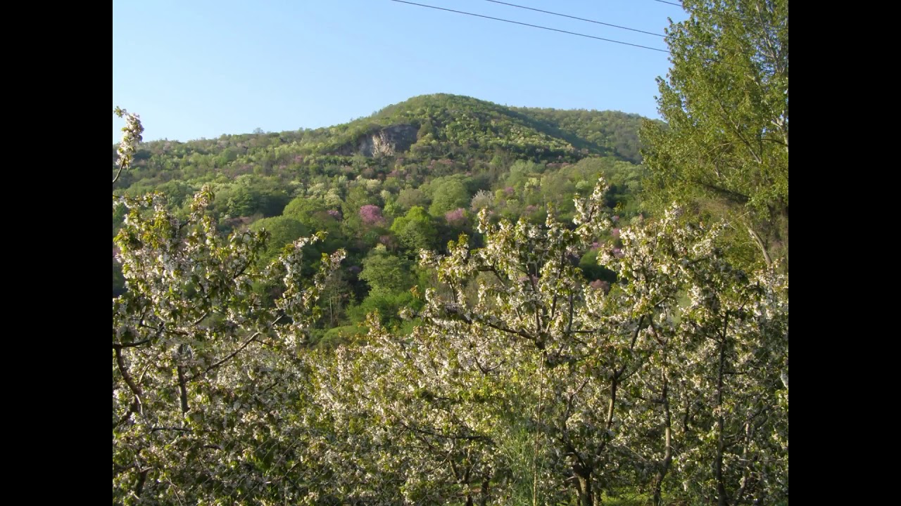 Visioni di Venezia - Rondo Veneziano