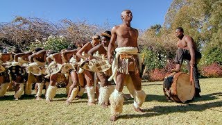Zulu Dance Explosion A Powerhouse Of Tradition And Agility In Every Step 