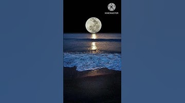 وَمَا أَنَا بِطَارِدِ الْمُؤْمِنِينَ آيات من[ سورة الشعراء] القارئ معتصم الشناق