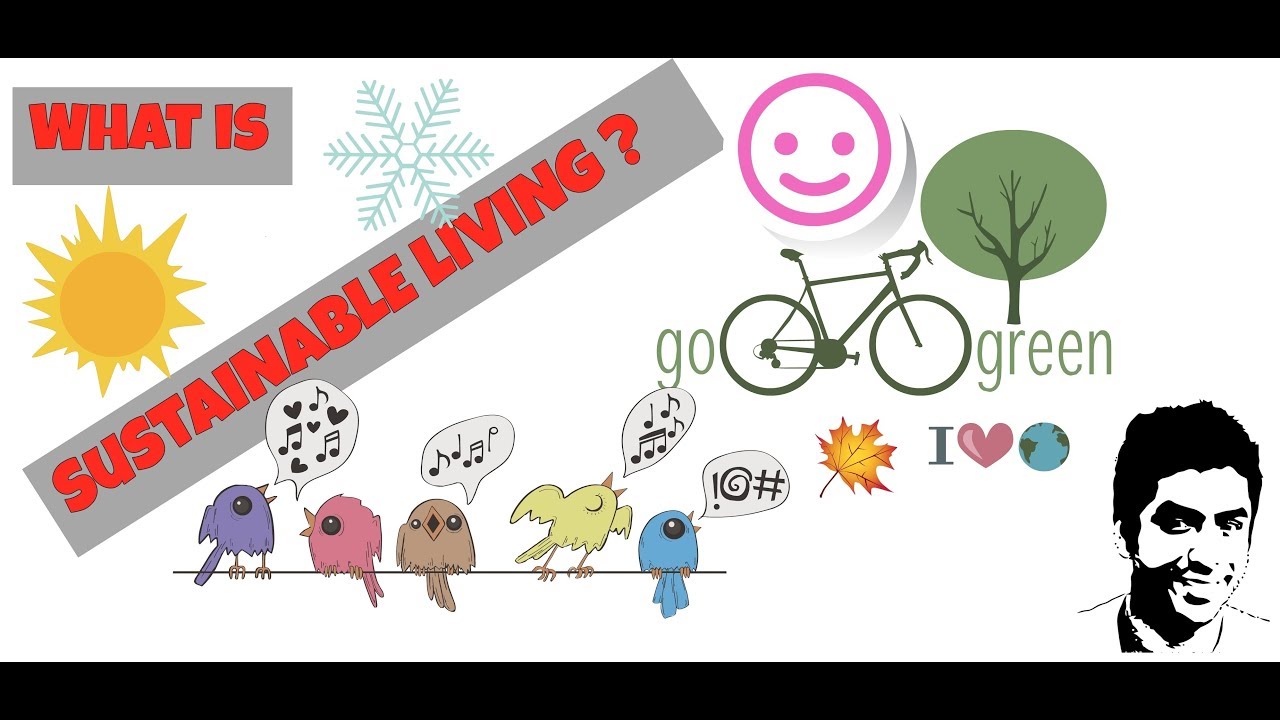 What is sustainable living and what are its various aspects ? YouTube
