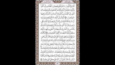 القرآن الكريم بصوت الشيخ سعد الغامدى صفحات  صفحة رقم ( 43 )