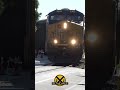 La grange ky visitor is surprised to see a train on the tracks