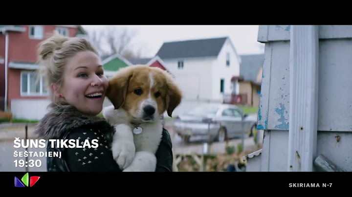 2025.06.28 19:30 - LNK - Šuns tikslas // A Dog's Purpose (2017) [Filmo anonsas]