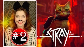 Забавный Рыжик ★ Stray #2