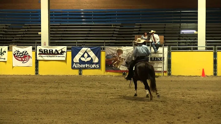 Terry Erickson - Annies Little Step - NRHA Open De...