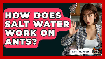 How Does Salt Water Work On Ants? - Insects and Invaders