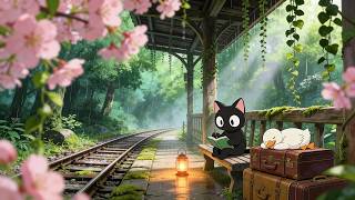 Every journey starts with a single dream. 🚂🌸 Cozy Rainy Sakura Lo-fi for Study, Focus screenshot 4
