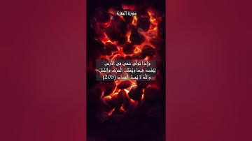 سورة البقرة الآية 204 205 206 و 207