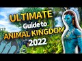 The 2022 Ultimate Guide to Animal Kingdom