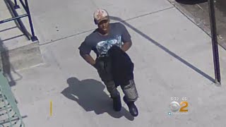 Search For Bronx Mugging Suspect