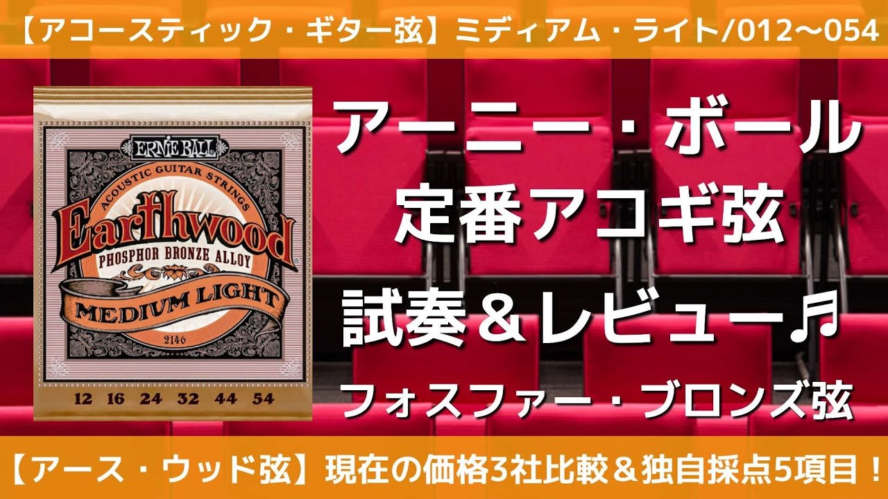 Ernie Ball Acoustic Guitar String Review (Current Price Comparison