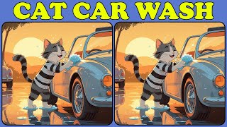 Spot the Difference: Cat Car Wash [Find 3 Differences] #57