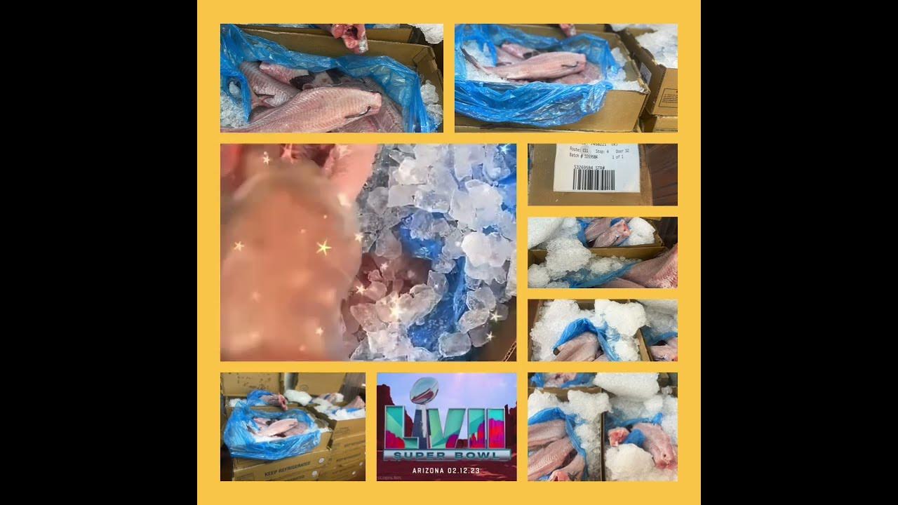 fresh-catfish-super-bowl-gary-indiana-20x20-food-mart-youtube