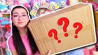 I bought MYSTERY SQUISHMALLOWS from AUSTRALIA?!