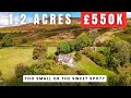 Would You Buy This 1.2 Acre ‘Miniholding’ in the Shropshire Hills for £550K?