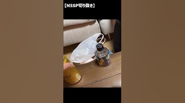 丸まって寝るえおえお【非公式MSSP切り抜き】#mssp切り抜き #実写 #eoheoh