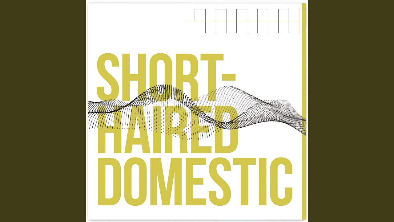 A Song in Latin About the Importance of Comfortable Shoes