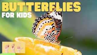 ASL Butterflies for Kids