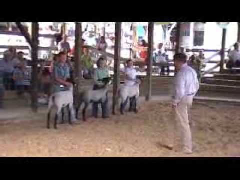 Jay Facemyer Market Lamb Showmanship 09