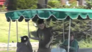yoscast simon pushes lewis into river for 10 minutes