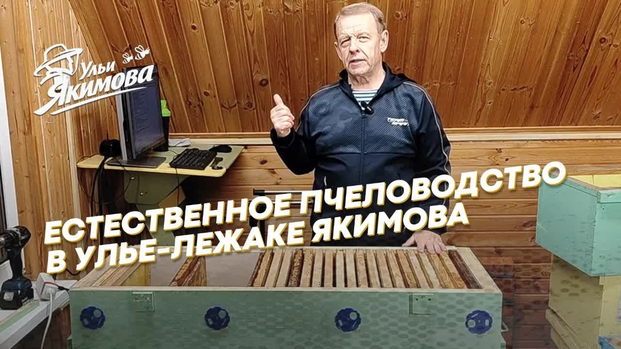 Естественное пчеловодство в улье-лежаке Якимова