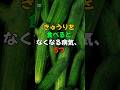 きゅうりを食べるとなくなる 病気、5つ #医療 #健康 #健康診断 #病気 #予防医療 #予防医学 #予防 #雑学