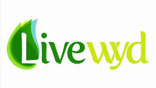 Enter Weight and Dimensions On Livewyd screenshot 4