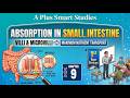Class 11 Biology Absorption in Small Intestine | Villi & Microvilli | FSC Part 1 Chapter 9