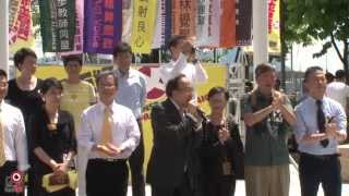 17JUN2015 民主派立法會議員接受12專業團體收集的「一人一信」要求否決假普選 (3/4)