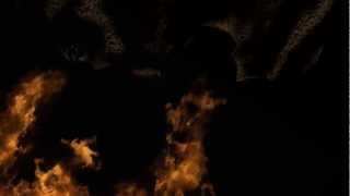 Fire loop Test