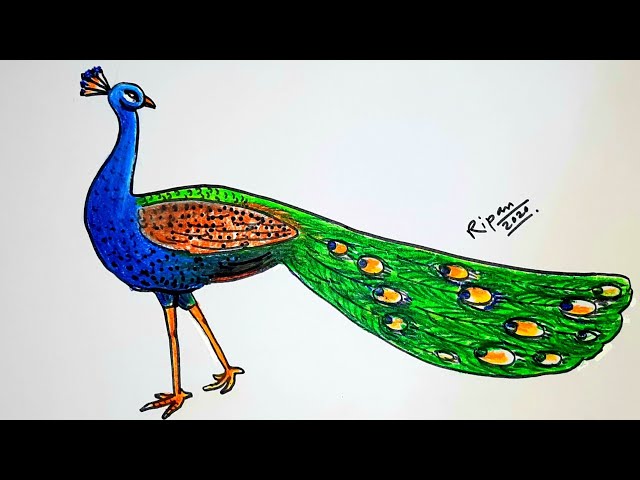 Florida State Bird - Mockingbird SVG Cut file by Creative Fabrica Crafts ·  Creative Fabrica