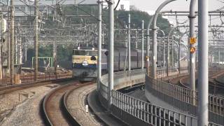 EF65-501+旧客7両+EF64-1001　レトロ横濱号送り込み回送 2009/6/27 【HD】