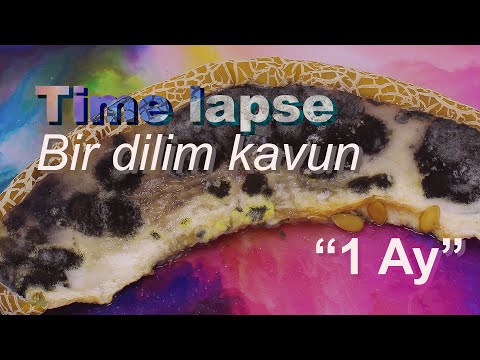 Time lapse - Buz gibi kavun yer miyiz? | Would you eat a cold melon?