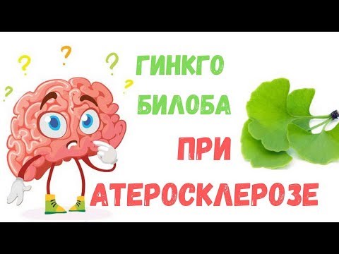 Гинкго Билоба: инструкция, состав, применение при атеросклерозе