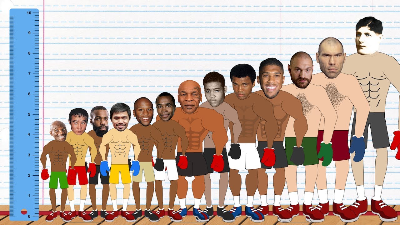 The Best Boxer at every height! (Boxing Height Comparison Animation