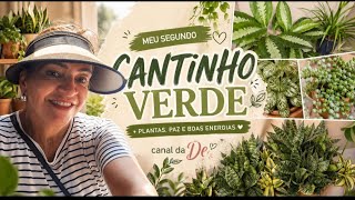 PLANTAS ?   Queremos sempre mais!!!