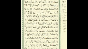 الورد اليومى.. سورة الأنعام من الاية 132 الى الاية 137 بصوت القارئ الشيخ ياسر الدوسرى