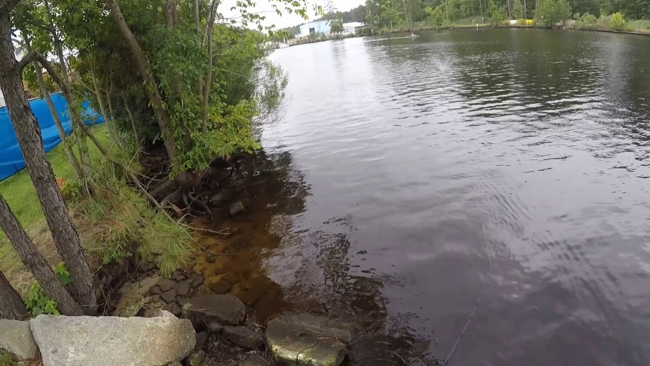 Chesapeake Va Great bridge lock bass fishing buzz bait 07Jul18