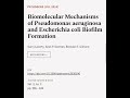 Biomolecular Mechanisms of Pseudomonas aeruginosa and Escherichia coli Biofilm Format... | RTCL.TV