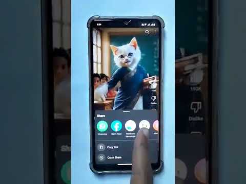 ١٥ سبتمبر ٢٠٢٥
