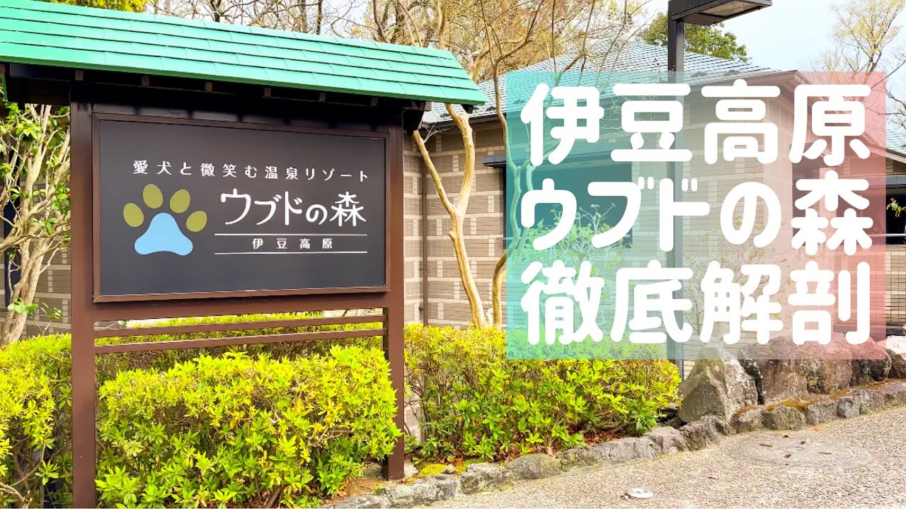 【ミニピン】3回目のうちの子記念日旅行でウブドの森へ/大河3歳♂