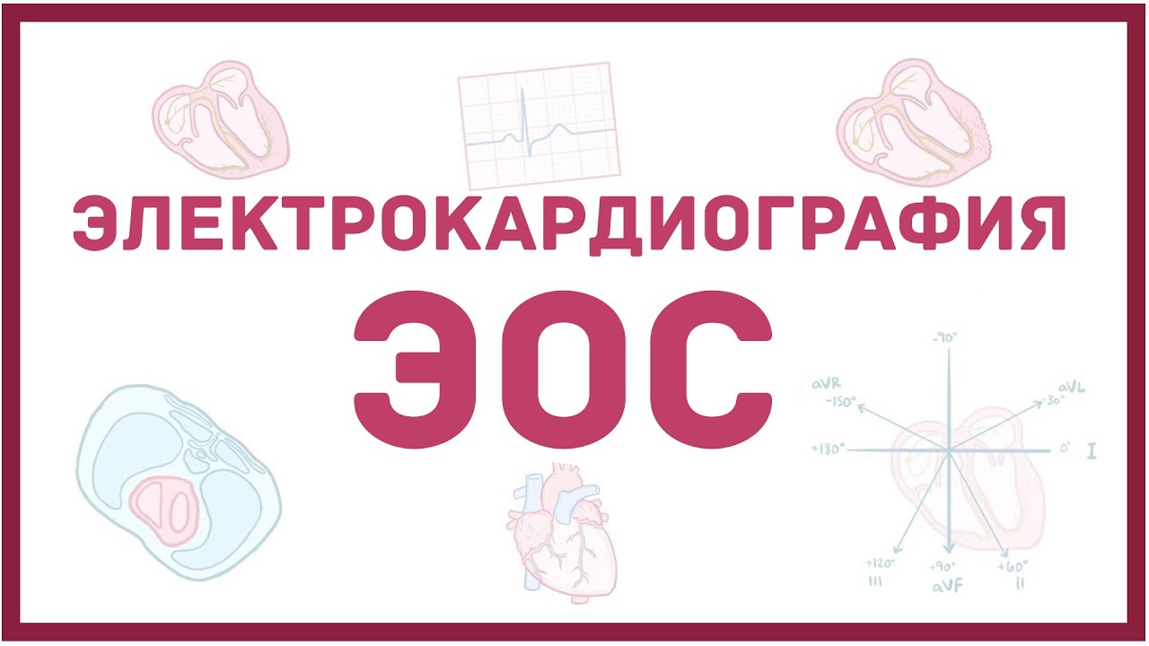 ЭКГ - электрическая ось сердца