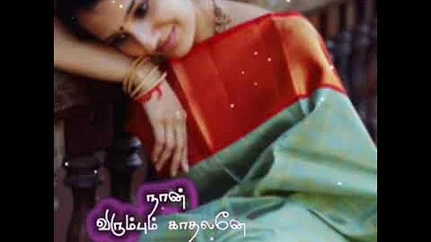 Sollividu velli nilave / Amaidhi padi / Tamil / Whatsapp status / Whatsapp video