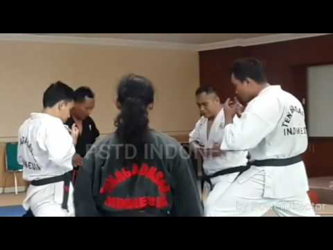 Pukulan keliling PSTD Indonesia with Yayan Ruhian