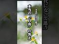 60代になって思う本当「自由」の答え #心に響く言葉#名言 #名言集 #心に響く言葉
