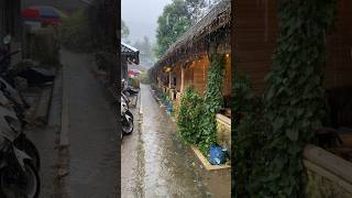 ASMR Rain Sounds | 100% Pure Relaxation from the Village #ASMR #SlowLiving #Nature #Peaceful #Relaxa