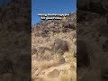 put in the comments  What you did for good Friday #hiking #new mexico #shorts #fun #someplacespecial