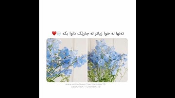 هزاع البلوشي 🌝🤍 اجمل حالات واتس اب دينية سورة الحجر