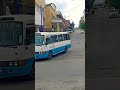 حافلة ركاب بلدية العيون ولاية مصر الجزائر تونس السعودية حافلة ركاب بلدية العيون ولاية مصر الجزائر تونس السعودية
